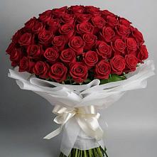 Букет 101 Красная роза Блэк Мэджик #REPLACE_PRED# Тоцкое Второе