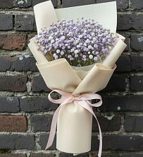 Букет цветов из:  Гипсофила в Тоцкое Второе