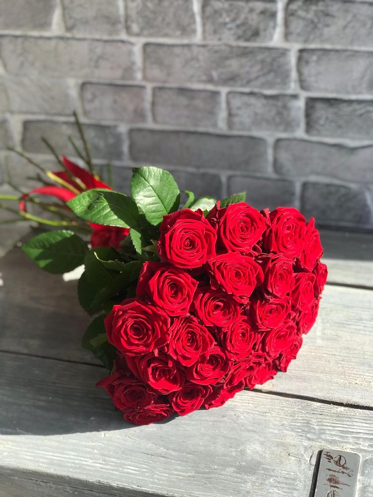 Букет Красные розы Фридом в Тоцкое Второе