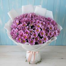 Букет цветов из:  Хризантемы в Тоцкое Второе