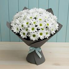 Букет цветов из:  Хризантемы в Тоцкое Второе