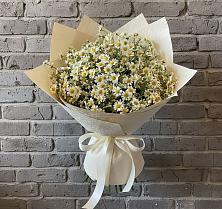 Букет цветов из:  Ромашки #REPLACE_PRED# Тоцкое Второе