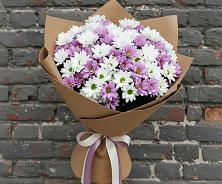 Букет цветов из:  Хризантемы в Тоцкое Второе