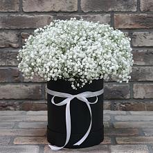 Цветочная композиция из Гипсофила в шляпной коробке в Тоцкое Второе