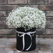 Цветочная композиция из Гипсофила в шляпной коробке в Тоцкое Второе
