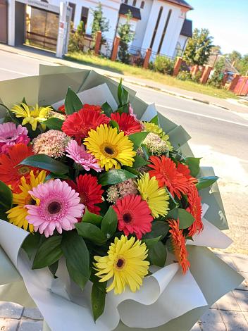 Букет цветов из: Герберы в Тоцкое Второе